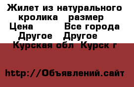 Жилет из натурального кролика,44размер › Цена ­ 500 - Все города Другое » Другое   . Курская обл.,Курск г.